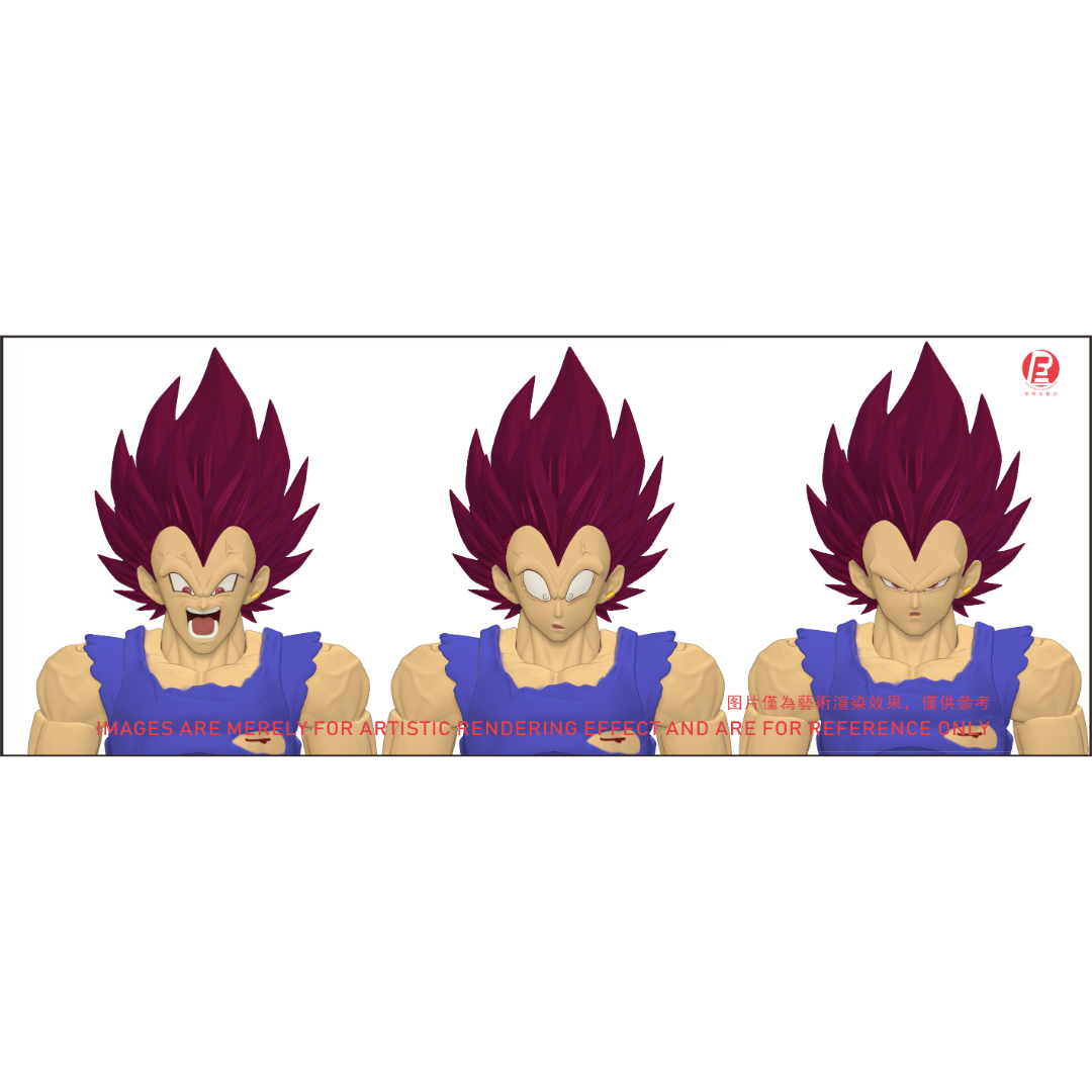 THE INSTANTANEOUS MARTYR - RECUSTOM