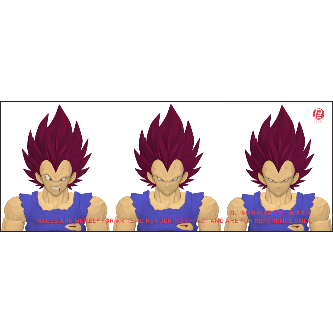 THE INSTANTANEOUS MARTYR - RECUSTOM