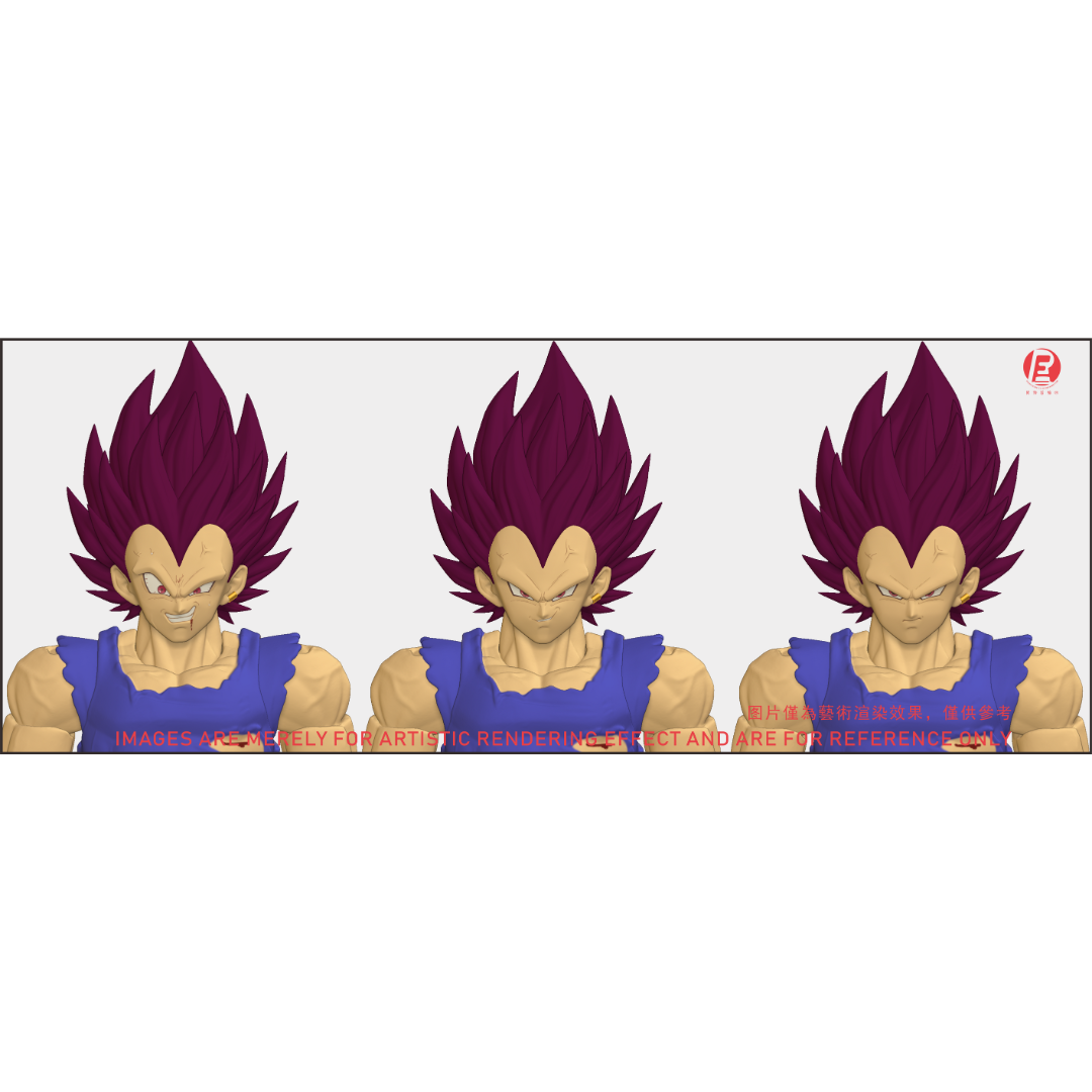 THE INSTANTANEOUS MARTYR - RECUSTOM