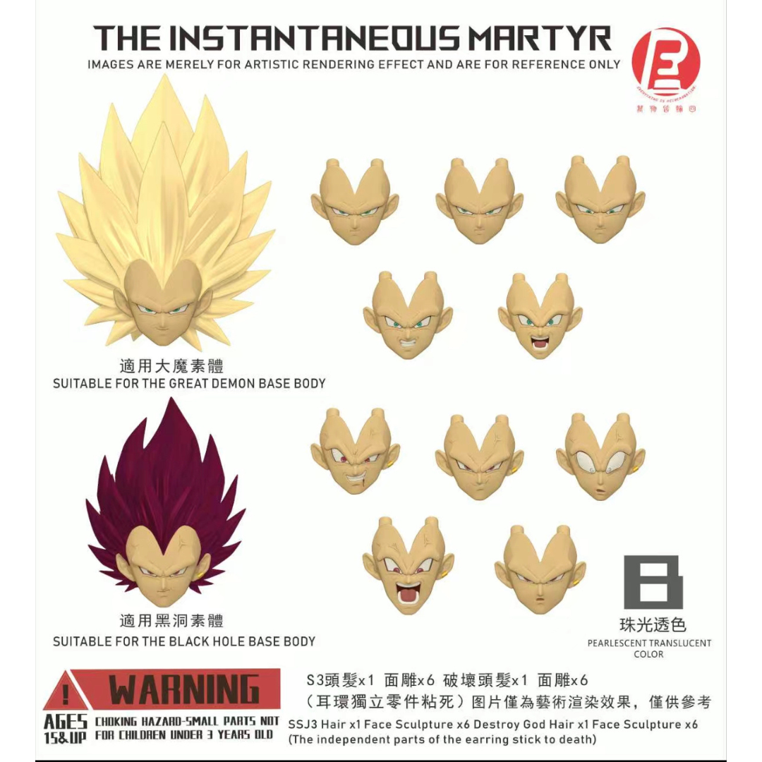 THE INSTANTANEOUS MARTYR - RECUSTOM