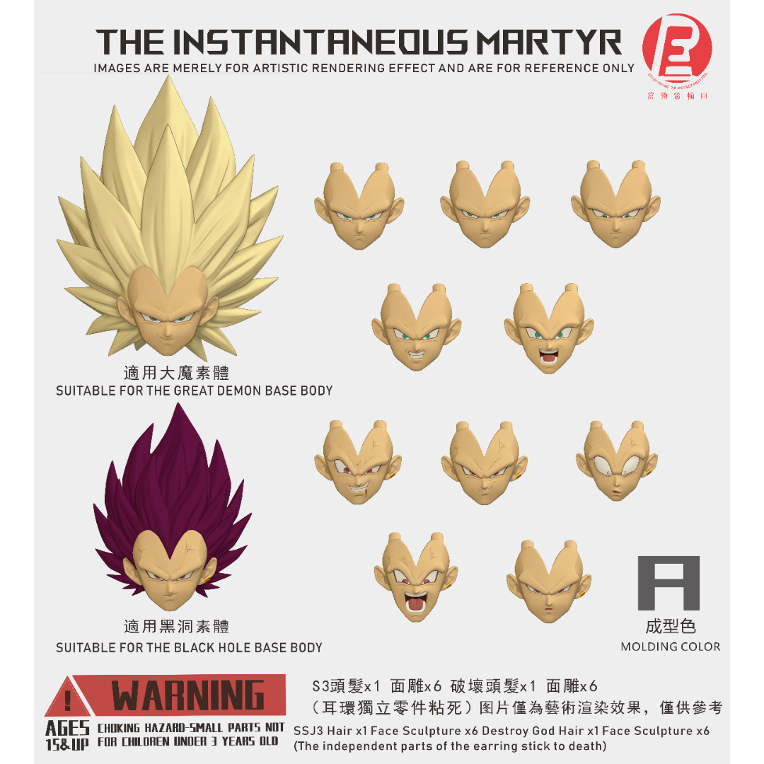 THE INSTANTANEOUS MARTYR - RECUSTOM