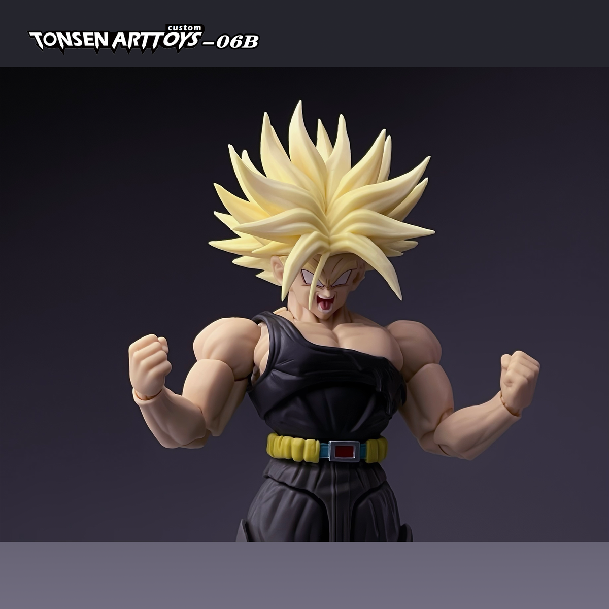 WARPED VENGEANCE : UNBOUND WRATH (VERSION B) - TONSEN ARTTOYS