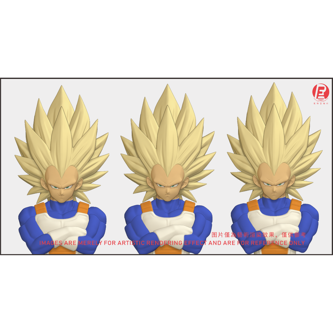 THE INSTANTANEOUS MARTYR - RECUSTOM