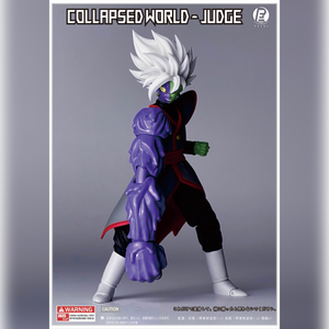 Collapsed World Judge - RECUSTOM