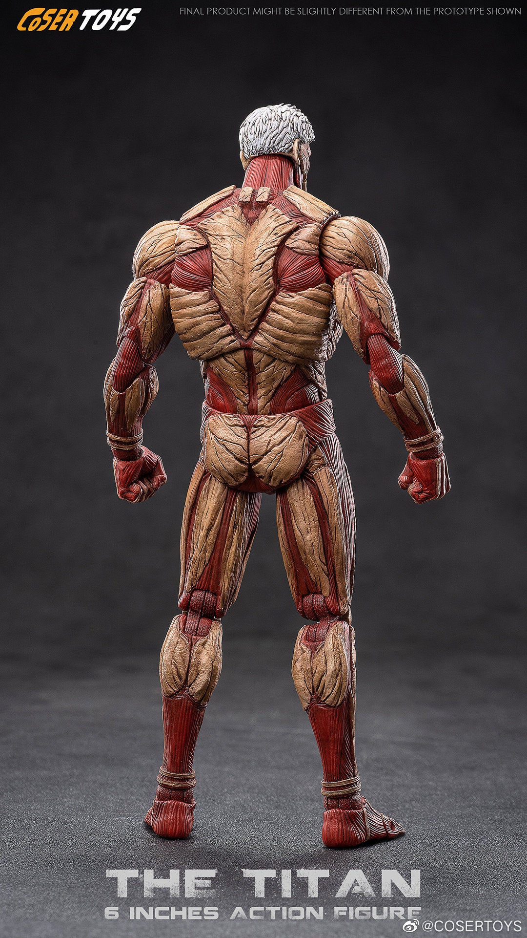 Coser Toys (VTOYS) Armored Titan Action Figure