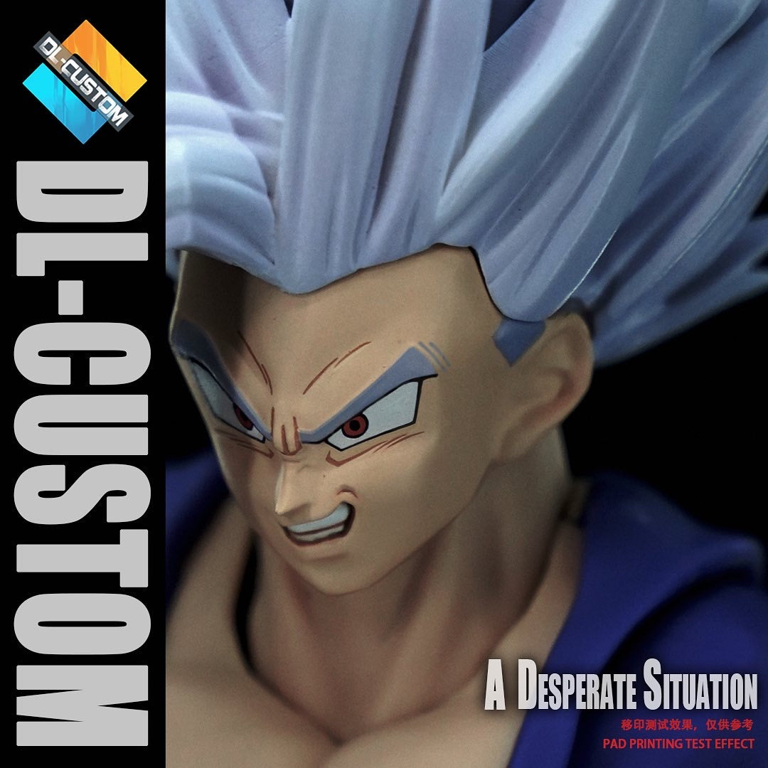 DL CUSTOM